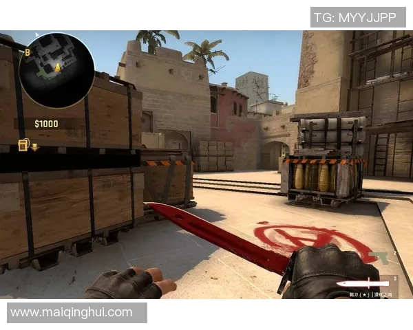 杨芳深度解析CSGO游戏技巧与心得分享助你提升竞技水平实时数据